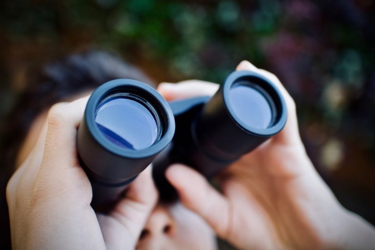 Fernglas in der Hand